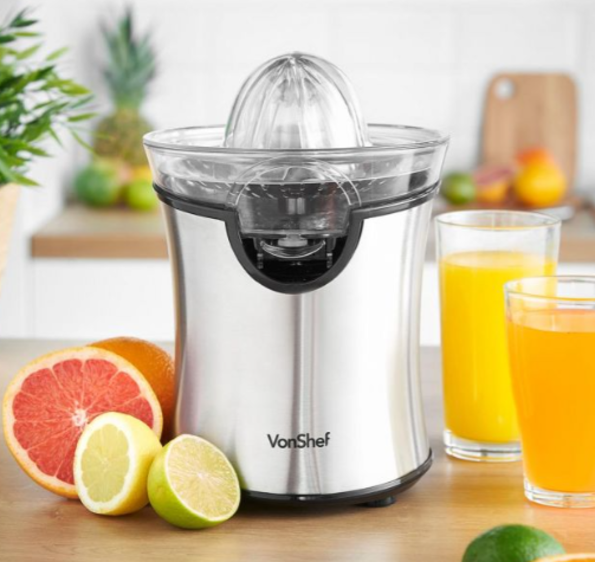 100W Citrus Juicer Machine