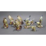 Set of 9 Royal Worcester Birds