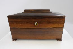 Regency Rosewood Sarcophagus Shaped Tea Caddy Box