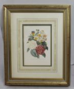 Pierre Joseph Redoute Limited Edition Flower Print Framed