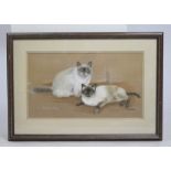 Original Artwork Siamese Cats Framed