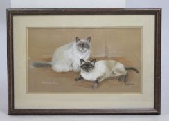 Original Artwork Siamese Cats Framed