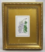 Royal Worcester Wistaria Porcelain Plaque Set in Gilt Frame