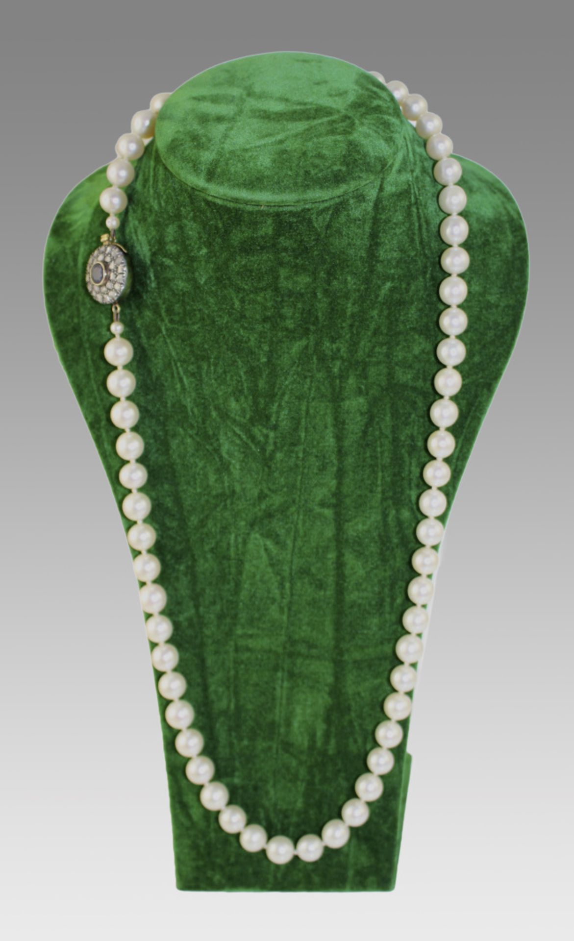 Akoya Pearl Necklace with 19th c. Sapphire Set Clasp