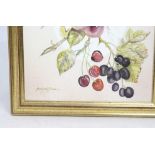 Floral Watercolour Mounted & Set in Gilt Frame