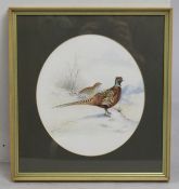Pheasant Watercolour