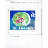 Saint Helena 1981 Endemic Plants issue, working rough sketches of the four values painted in colour