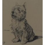 Skye Terrier. Framed Pen & Ink Drawing.