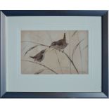 RALSTON GUDGEON RSW (SCOTTISH 1910 - 1984), Feeding Wrens, Signed Water Colour