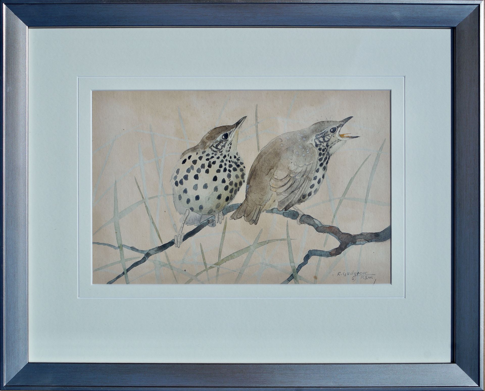 RALSTON GUDGEON RSW (SCOTTISH 1910 - 1984), Perching Thrushes, Signed Water Colour