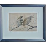 RALSTON GUDGEON RSW (SCOTTISH 1910 - 1984), Perching Thrushes, Signed Water Colour