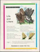Original 1960 Guinness Print –_Life & Litters” G.E. 3384.A