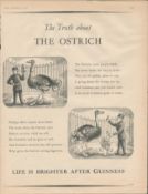 Original 1957 Guinness Print –Truth about the Ostrich” G.E. 2787