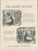 Original 1957 Guinness Print –The Sensible Sea Lion” G.E. 2335.A