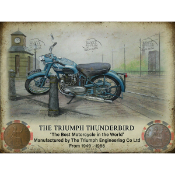 Triumph Thunderbird Motorcycle Original Coins Metal Information Plaque