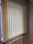 White Vertical Blinds