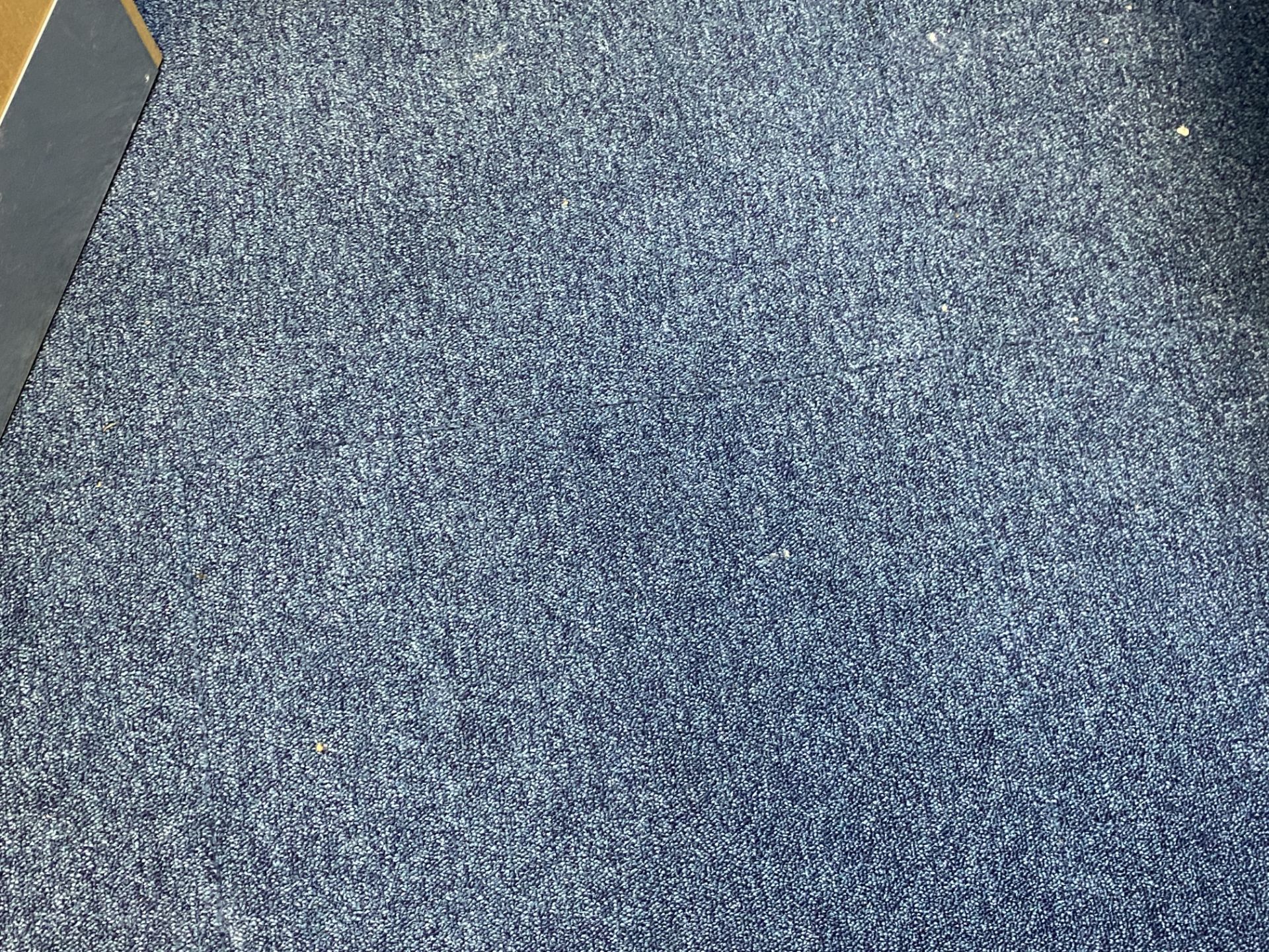 Dark Blue Carpet Tiles