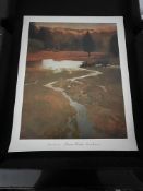 Marcus Bohne Frog creek Prints x 7