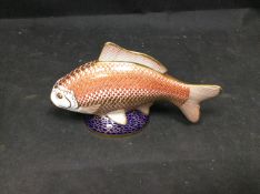 Royal Crown Derby Fish XLIX