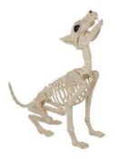 (R15E) Halloween Lot. 1x Spooktacular Wolf Skeleton RRP £25. 4x Animated Deadly Dog (RRP £12 Each