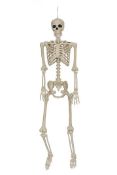 (R15E) Halloween Lot. 12x Petrifying Posable Skeleton (RRP £25 Each). 12x Super Ninja Set (RRP £5