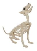 (R15F) Halloween Lot – Contents Of Large Box. Mixed Lot To Include Spooktacular Wolf Skeleton (RRP