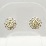 A pair of fancy yellow 0.63 carat diamond halo ear studs in 18ct yellow and white gold