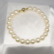 A white cultured pearl strung bracelet with a 9ct yellow gold ball clasp