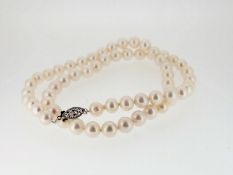 Certified Akoya Pearls Necklace 18" High Grade Pearls