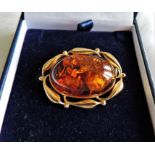 14k Solid Gold Baltic Amber Brooch - Amber 30mm x 20mm