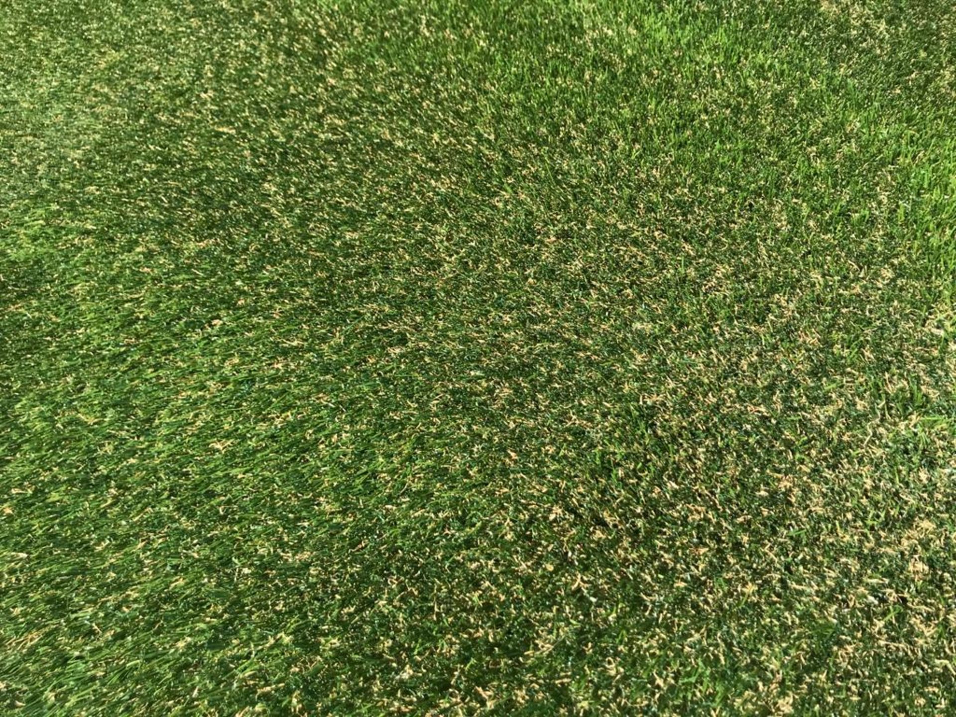 25x4m roll Playrite Nearly Grass Premium Artificial grass 35mm thick