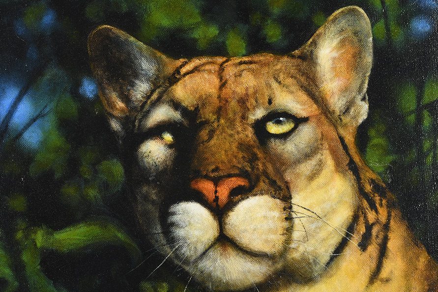 Mountain Lion Painting by English Artist Terence Vickress - Image 4 of 5