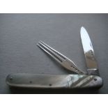 Rare Victorian Mother of Pearl Hafted Slotting Knife and Fork