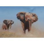 Oil on Canvas. African Elephants by Ray Greenfield
