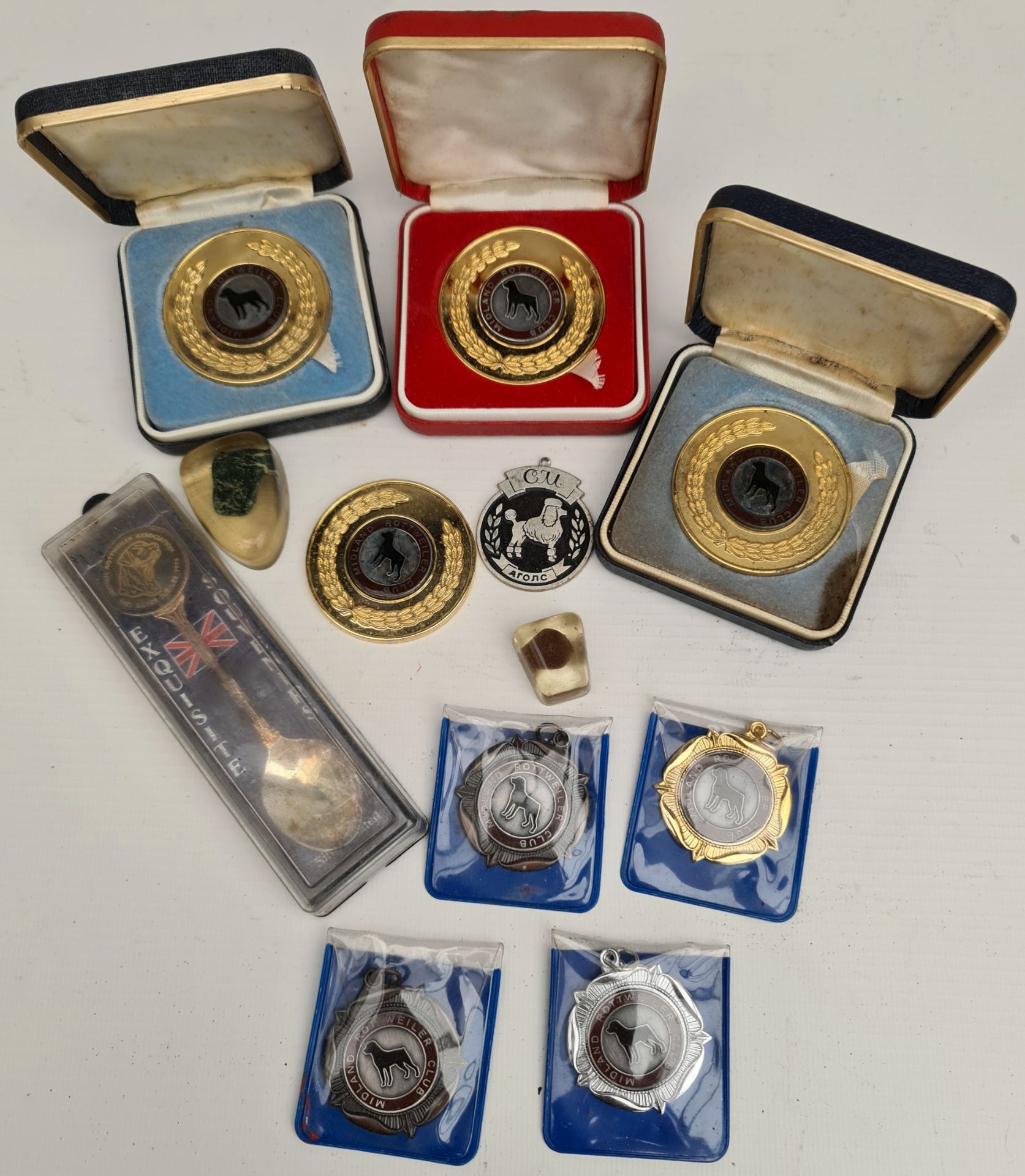 Collection of Vintage Rotweiler Dog Show Medals