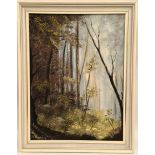 Framed Vintage Art Oil Painting on Canvas Woodland Scene Signed Lower Left. c1960/70's