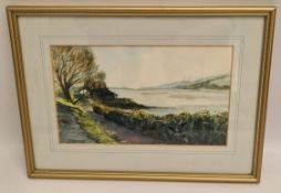 Art Watercolour Painting Framed Signed Lower Left D Warren 1988