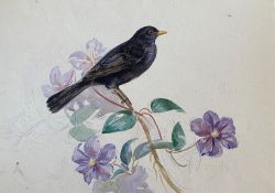 Eileen Alice Soper 1905 -1990 watercolour "Blackbird" Chris Beetles label verso