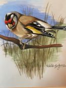 Ralston Gudgeon R.S.W 1910 - 1984 unframed watercolour depicting Gold Finch