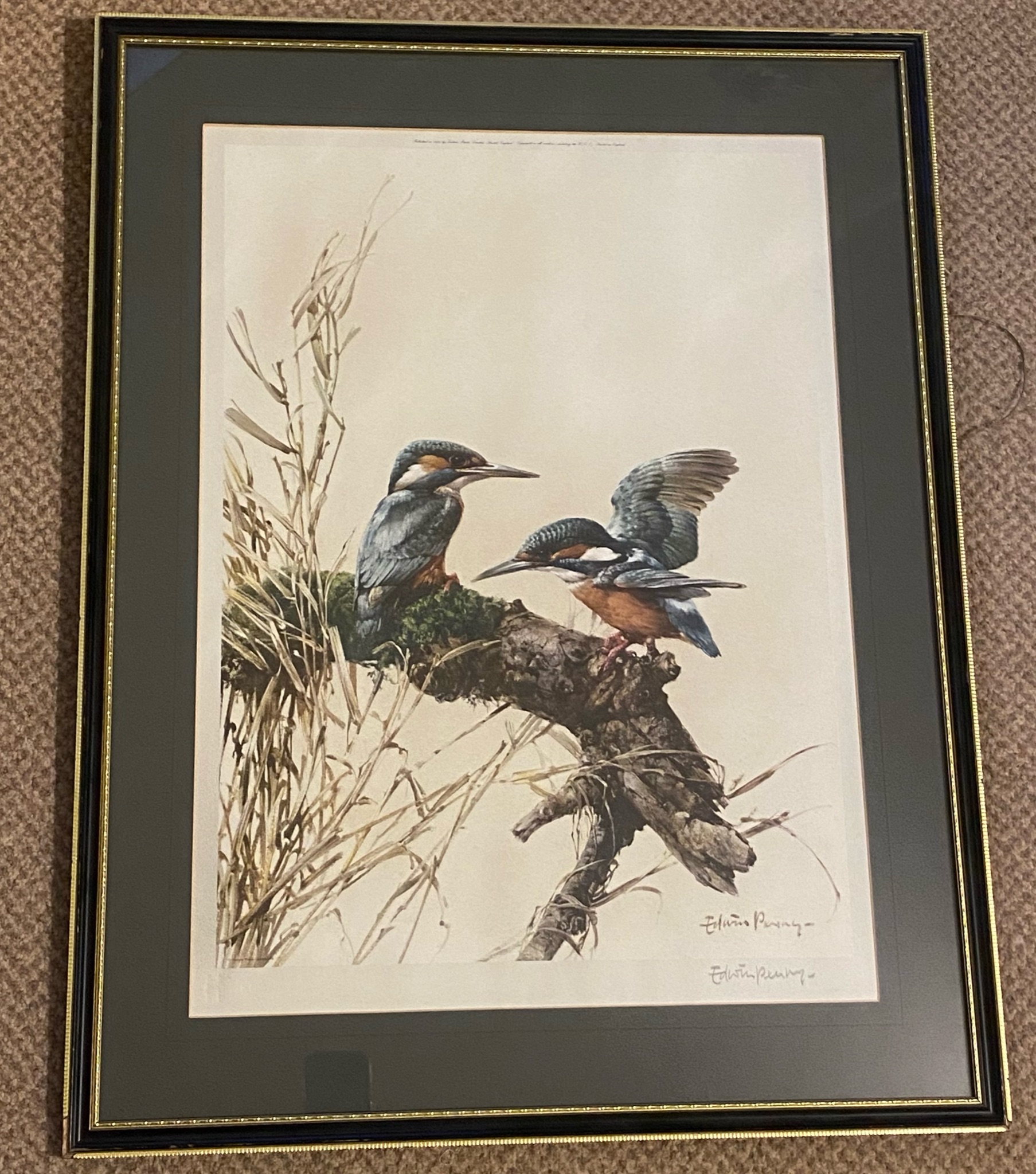 Edwin Penny Large pencil signed print "Kingfishers" - Image 2 of 4