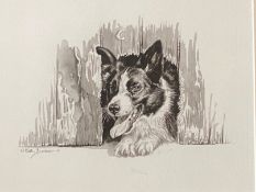 Keith Brockie (Scottish) bn 1955 Original ink drawing "Collie Dog"