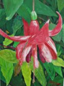 Acrylic Fuchsia painting