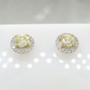 A pair of certificated 0.59 carat light yellow diamond halo ear studs in 18ct white and yellow gold