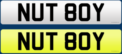 NUT 80Y - Cherished Plate On Retention