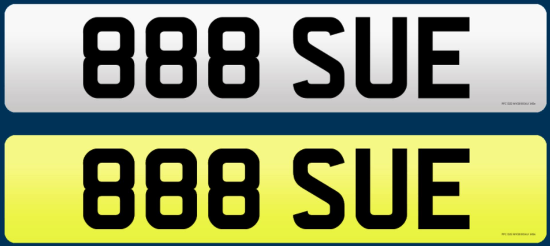 888 SUE - Cherished Plate On Retention