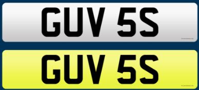 GUV 5S - Cherished Plate On Retention