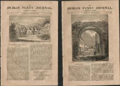 2 Antique Editions 1832 Dublin Penny Journal Views of a 19th Century Ireland 12