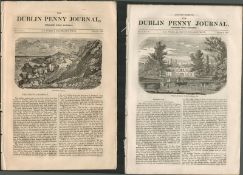 2 Antique Editions 1832 Dublin Penny Journal 14