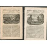 2 Antique Editions 1832 Dublin Penny Journal 14