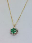 9ct Yellow Gold (375) Emerald & Diamond Cluster Pendant on 18" Curb Chain